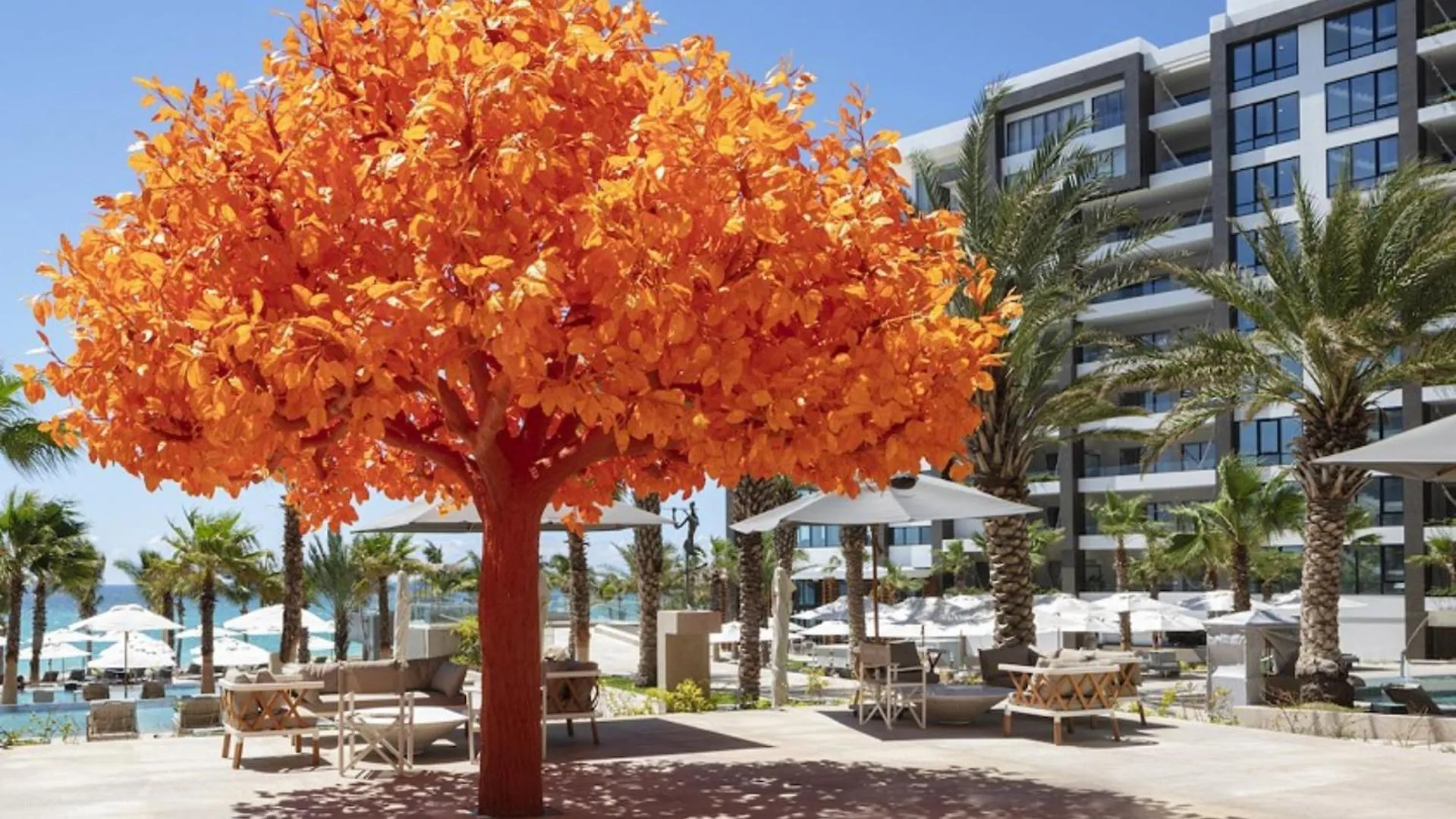Garza Blanca Los Cabos Elite Luxe Member Units By Stephen Ostler カボ・サン・ルーカス リゾート